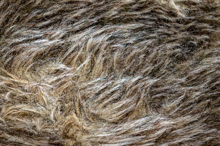 black and brown dog fur. background or textureの写真素材