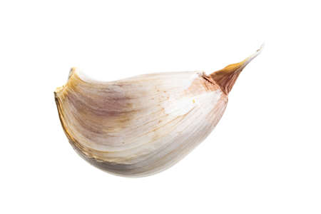 macro photo of garlic on a white isolated backgroundの写真素材