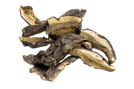 dried mushrooms on a white isolated backgroundの写真素材