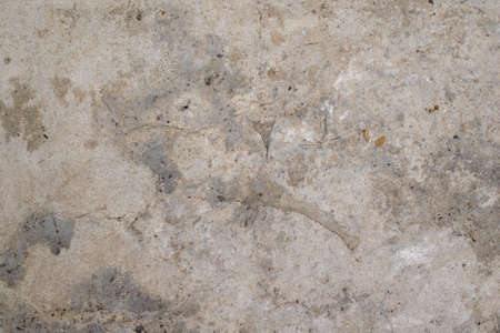 old plaster on the wall with visible detailsの写真素材