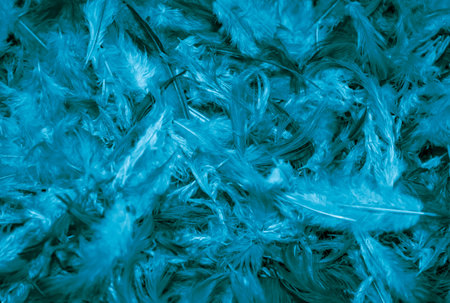 brown hen feathers with visible details. backgroundの写真素材