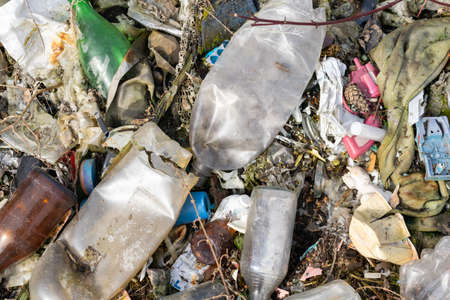 wild garbage dump. residual glass, plastics in the forestの写真素材