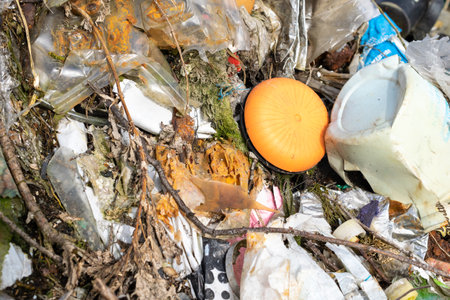 wild garbage dump. residual glass, plastics in the forestの写真素材