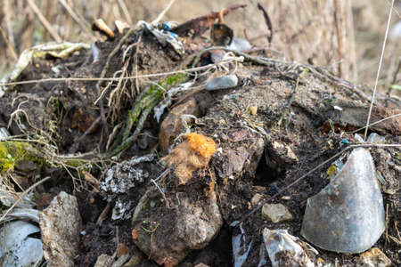wild garbage dump. residual glass, plastics in the forestの写真素材