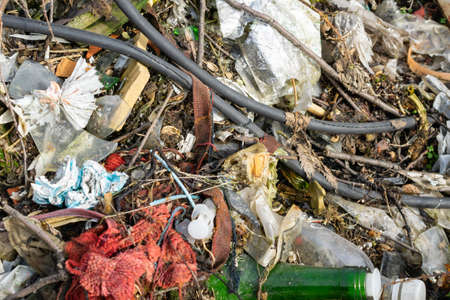 wild garbage dump. residual glass, plastics in the forestの写真素材