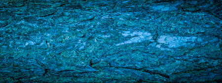 blue pine bark with a visible texture. backgroundの写真素材