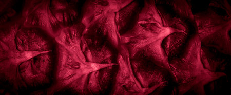 red pineapple peel with visible details. backgroundの写真素材