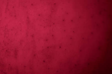 green apple skin with visible details. backgroundの写真素材