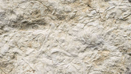 light limestone with interesting texture visible. backgroundの写真素材