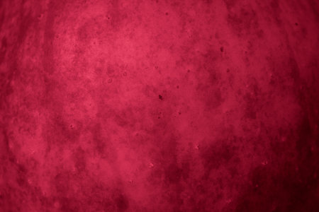 green apple skin with visible details. backgroundの写真素材