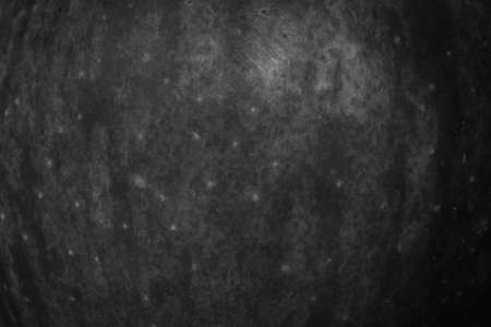 black apple skin with visible gray detailsの写真素材