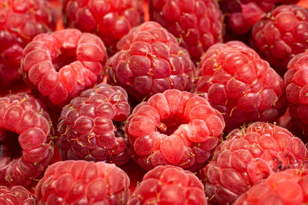 red raspberries with visible details. background or textureの写真素材