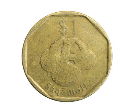 Fiji one dollar coin on a white isolated backgroundの写真素材