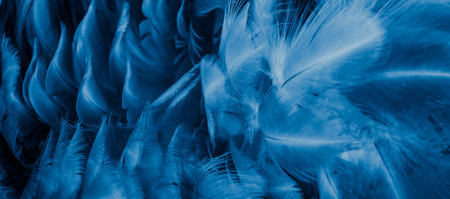 macro photo of blue hen feathers. background or texturaの写真素材