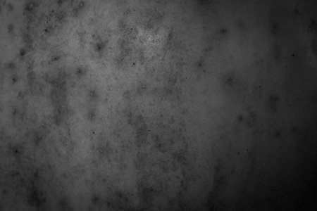 black apple skin with visible gray detailsの写真素材