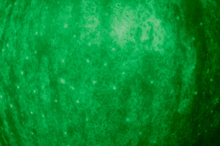green apple skin with visible details. backgroundの写真素材