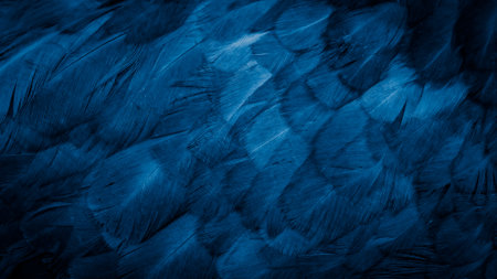 macro photo of blue hen feathers. background or texturaの写真素材