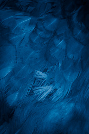 macro photo of blue hen feathers. background or texturaの写真素材