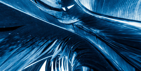 blue and black rooster feathers. background or textureの写真素材
