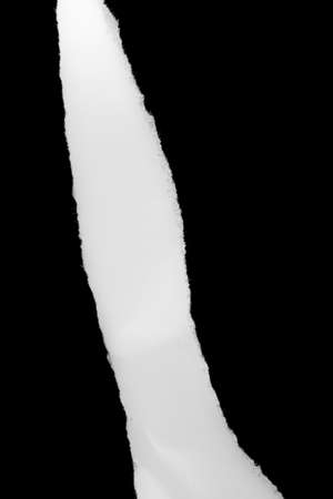 a white piece of paper on a black isolated backgroundの写真素材