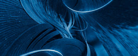 blue and black rooster feathers. background or textureの写真素材