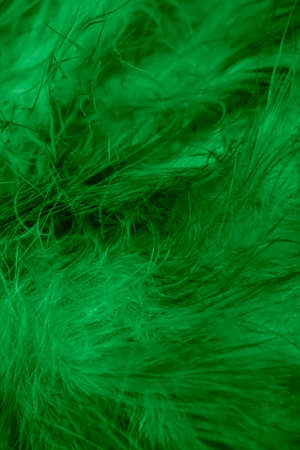 macro photo of green hen feathers. background or texturaの写真素材