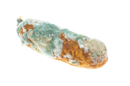 moldy sausage on a white isolated backgroundの写真素材