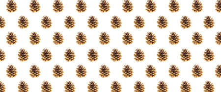 black pine cone on a white backgroundの写真素材