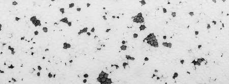 white and black polystyrene with a visible texture