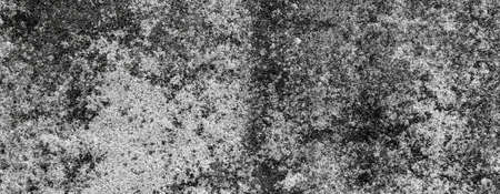 white and black porous plaster on the wall. backgroundの写真素材