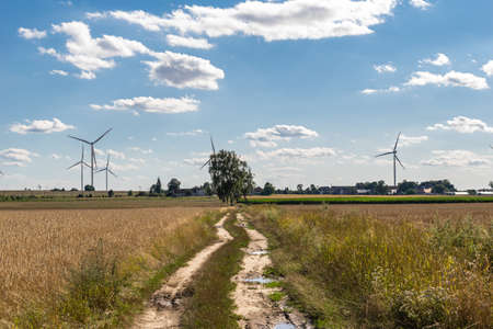 Wind power plants on the background of half and blue skyの写真素材