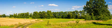 farmland on a beautiful sunny day against the background of blue skyの写真素材