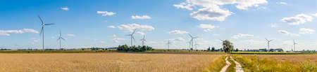 farmland on a beautiful sunny day against the background of blue skyの写真素材