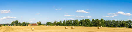 farmland on a beautiful sunny day against the background of blue skyの写真素材