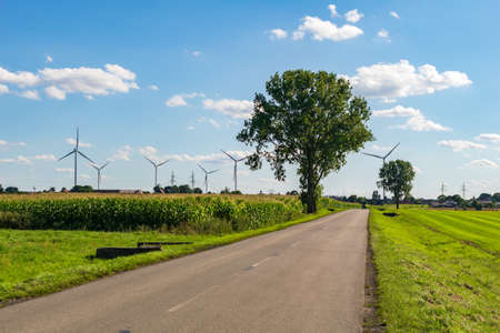 road on a beautiful sunny day against the backdrop of a blue skyの写真素材