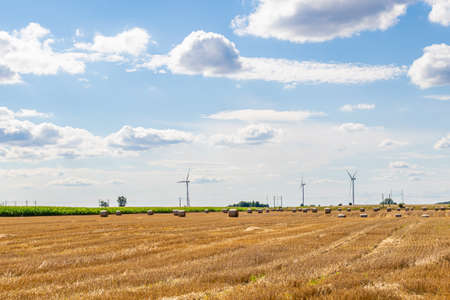 farmland on a beautiful sunny day against the background of blue skyの写真素材
