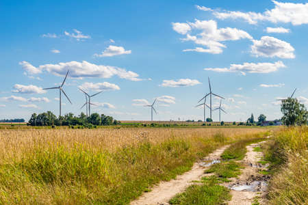 farmland on a beautiful sunny day against the background of blue skyの写真素材