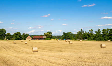 farmland on a beautiful sunny day against the background of blue skyの写真素材
