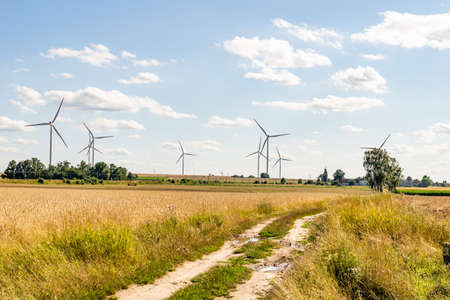 farmland on a beautiful sunny day against the background of blue skyの写真素材