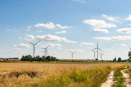 farmland on a beautiful sunny day against the background of blue skyの写真素材
