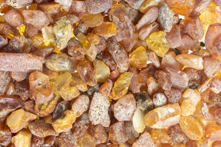 Baltic amber with visible details. background or texturaの写真素材