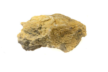 limestone stone on a white isolated backgroundの写真素材