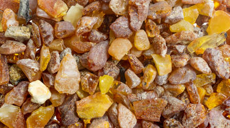 Baltic amber with visible details. background or texturaの写真素材
