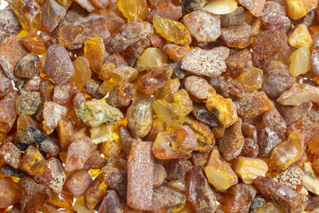 Baltic amber with visible details. background or texturaの写真素材