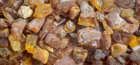 Baltic amber with visible details. background or texturaの写真素材