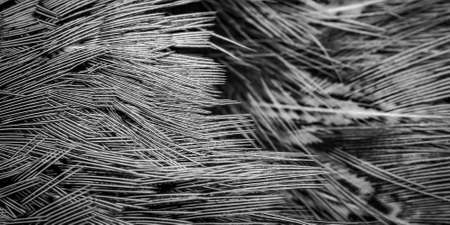 colored pheasant feathers with a visible texture. backgroundの写真素材