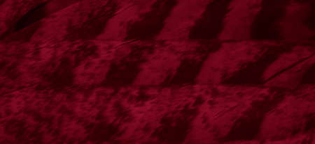 red hawk feathers with visible detail. background or textureの写真素材