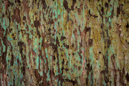 old board painted with blue paint. backgroundの写真素材