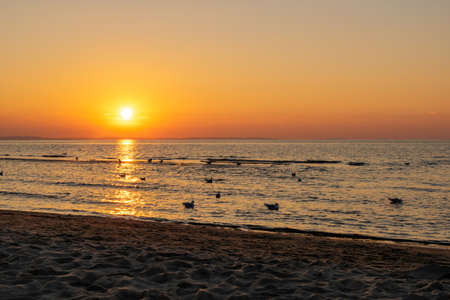the setting sun against the backdrop of a calm seaの写真素材