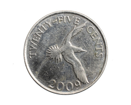 Bermuda twenty five cents coin on a white isolated backgroundの写真素材